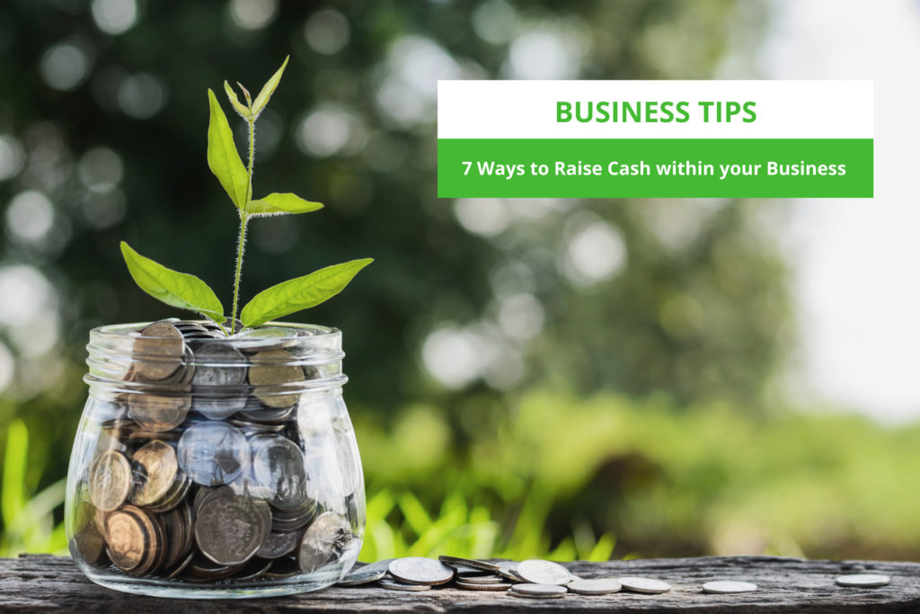 Jar with a money tree growing inside
